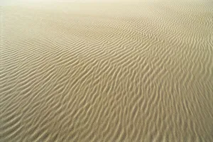 Oregon, Close-Up Of Sand Patterns In The Umpqua Dunes Oregon, Close-Up Of Sand Patterns In The Umpqua Dunes