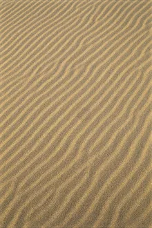 Oregon Dunes National Recreation Area, Sand Patterns, Wave Like Oregon Dunes National Recreation Area, Sand Patterns, Wave Like