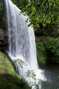 Oregon, Silver Falls State Park, Lower South Falls, B1648 Oregon, Silver Falls State Park, Lower South Falls, B1648