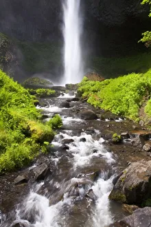 Oregon, United States Of America; Latourell Falls In The Columbia River Gorge National Scenic Area Oregon, United States Of America; Latourell Falls In The Columbia River Gorge National Scenic Area