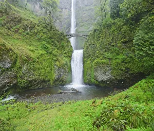 Oregon, United States Of America; Multnomah Falls In Spring In Columbia River Gorge Oregon, United States Of America; Multnomah Falls In Spring In Columbia River Gorge