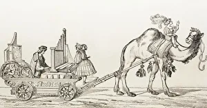 The Organist Paul Hoffaner Playing In A Carriage Drawn By A Camel. After A Work By Albrecht Durer The Organist Paul Hoffaner Playing In A Carriage Drawn By A Camel. After A Work By Albrecht Durer