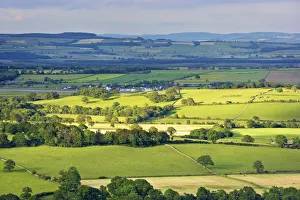 Overview of Fields and Farmland, Dumfries & Galloway, Scotland Overview of Fields and Farmland, Dumfries & Galloway, Scotland