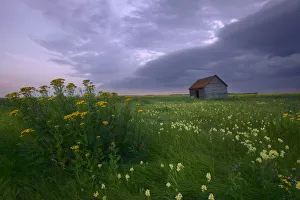 Prairie Wildflowers And An Old Farm Granary Under A Summer Storm In Central Alberta Prairie Wildflowers And An Old Farm Granary Under A Summer Storm In Central Alberta