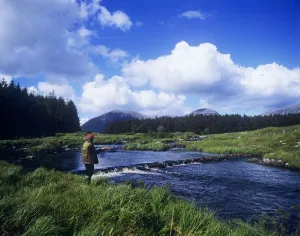 Side Profile Of A Man Fly-Fishing In A River, Connemara, County Galway, Republic Of Ireland Side Profile Of A Man Fly-Fishing In A River, Connemara, County Galway, Republic Of Ireland