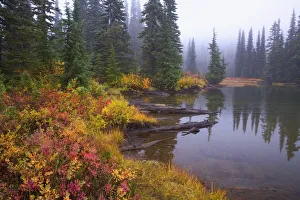 Reflection On Lake In Autumn; Mount Rainier National Park, Washington, Usa Reflection On Lake In Autumn; Mount Rainier National Park, Washington, Usa
