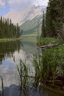 Reflections On Beaver Lake, Jasper National Park, Alberta Reflections On Beaver Lake, Jasper National Park, Alberta