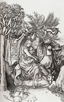 Historical Collection: [Rest On] The Flight Into Egypt Martin Schongauer