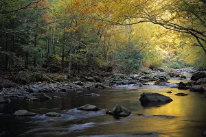 River Flowing Over Rocks, Greenbrier Area, Great Smoky Mountains National Park, Tennessee, Usa River Flowing Over Rocks, Greenbrier Area, Great Smoky Mountains National Park, Tennessee, Usa