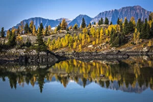 Alpine Larch Collection: Rock Isle Lake in Autumn, Mount Assiniboine Provincial Park, British Columbia, Canada
