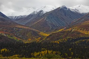 The Saint Elias Mountains In Autumn Colours Along The Haines Highway; Yukon Canada The Saint Elias Mountains In Autumn Colours Along The Haines Highway; Yukon Canada