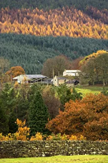 Scenic Autumn Landscape With Country Houses; England, Uk Scenic Autumn Landscape With Country Houses; England, Uk