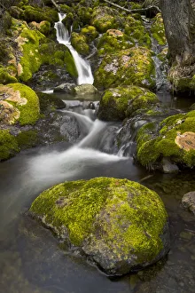 Scenic View Of Falls Creek And Waterfall With Moss Covered Rocks, Turnagain Arm, Chugach State Park,Southcentral Alaska Scenic View Of Falls Creek And Waterfall With Moss Covered Rocks, Turnagain Arm, Chugach State Park,Southcentral Alaska