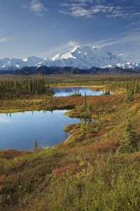 Scenic View Of Tundra Ponds And Fall Colors With Mt. Mckinley In The Background, Denali National Park, Alaska Scenic View Of Tundra Ponds And Fall Colors With Mt. Mckinley In The Background, Denali National Park, Alaska