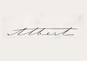 Signature Of Albert Prince Consort Of Great Britain And Ireland Original Name Francis Signature Of Albert Prince Consort Of Great Britain And Ireland Original Name Francis