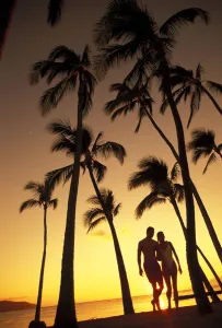 Silhouette Of Romantic Couple In Park At Sunset, Palm Trees, Ocean In Background Silhouette Of Romantic Couple In Park At Sunset, Palm Trees, Ocean In Background