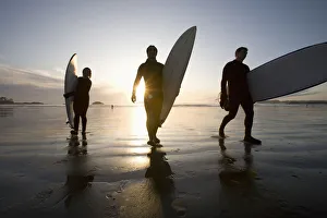 Silhouette Of Three Surfers Carrying Surfboards; Chesterman Beach Tofino Vancouver Island British Columbia Canada Silhouette Of Three Surfers Carrying Surfboards; Chesterman Beach Tofino Vancouver Island British Columbia Canada