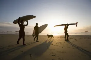 Silhouette Of Three Surfers And A Dog; Chesterman Beach Tofino Vancouver Island British Columbia Canada Silhouette Of Three Surfers And A Dog; Chesterman Beach Tofino Vancouver Island British Columbia Canada