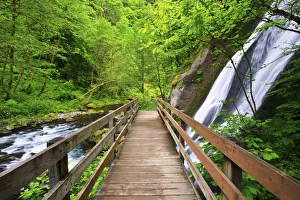 Small Waterfall Along Tanner Creek In Columbia River Gorge National Scenic Area In The Pacific Northwest; Oregon Small Waterfall Along Tanner Creek In Columbia River Gorge National Scenic Area In The Pacific Northwest; Oregon