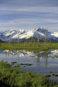 Snow Capped Kenai Mtns Reflect In Pond Sc Ak Spring Snow Capped Kenai Mtns Reflect In Pond Sc Ak Spring