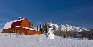 Snowman Dressed Up As A Cowboy Standing In Front Of A Vintage Red Barn, Palmer, Southcentral Alaska, Winter Snowman Dressed Up As A Cowboy Standing In Front Of A Vintage Red Barn, Palmer, Southcentral Alaska, Winter