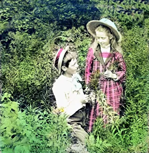 A stereoview of a boy and a girl in the woods with Goldenrod flowers, dated 1889 A stereoview of a boy and a girl in the woods with Goldenrod flowers, dated 1889
