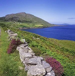 Stone Wall On A Coast, Allihies, County Cork, Republic Of Ireland Stone Wall On A Coast, Allihies, County Cork, Republic Of Ireland