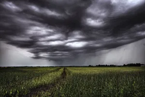 Storm Clouds And Rain Over A Track Leading Into An Unripened Wheat Field South Of Bon Storm Clouds And Rain Over A Track Leading Into An Unripened Wheat Field South Of Bon