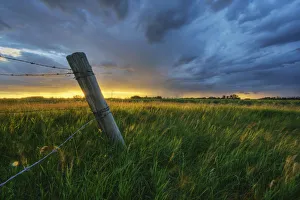 Summer Thunderstorm And Fencepost On A Wheat Farm North Of Edmonton, Alberta Summer Thunderstorm And Fencepost On A Wheat Farm North Of Edmonton, Alberta