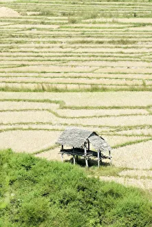 Thailand, Thatched roof shelters in terraced rice paddies; Mae Sariang Thailand, Thatched roof shelters in terraced rice paddies; Mae Sariang