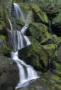Thousand Drips Waterfall, Roaring Fork Area, Great Smoky Mountains National Park, Tennessee, Usa Thousand Drips Waterfall, Roaring Fork Area, Great Smoky Mountains National Park, Tennessee, Usa