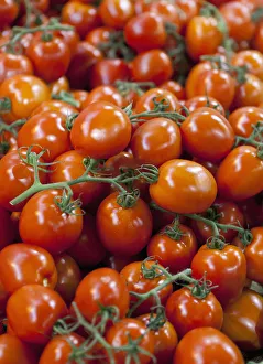 Tomatoes For Sale At Borough Market; London, England Tomatoes For Sale At Borough Market; London, England