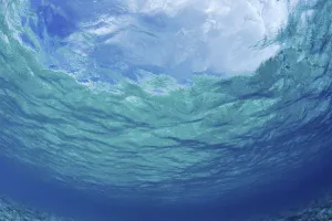Underwater Ocean Looking Upward To Surface, Blue Sky Reflection Underwater Ocean Looking Upward To Surface, Blue Sky Reflection