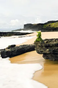 USA, Hawaii, Hawaiian offering on rock at shoreline; Oahu, Sandy beach USA, Hawaii, Hawaiian offering on rock at shoreline; Oahu, Sandy beach