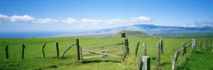 USA, Hawaii, Mauna Kea In Background; Big Island, Country Landscape With Pasture And USA, Hawaii, Mauna Kea In Background; Big Island, Country Landscape With Pasture And