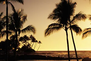 USA, Hawaii, Ocean and silhouetted palm trees at sunset in Mauna Lani Resort; Big Island USA, Hawaii, Ocean and silhouetted palm trees at sunset in Mauna Lani Resort; Big Island