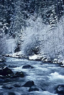 USA, Willamette National Forest; Oregon, Salt Creek with Snowy Trees USA, Willamette National Forest; Oregon, Salt Creek with Snowy Trees