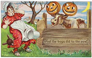 Vintage Halloween Greeting Card With Cow With Jack-O-Lanterns On Horns From 20th Century Vintage Halloween Greeting Card With Cow With Jack-O-Lanterns On Horns From 20th Century