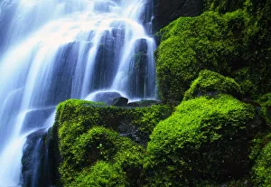 Waterfall On Wahkeena Creek, Columbia River Gorge Waterfall On Wahkeena Creek, Columbia River Gorge