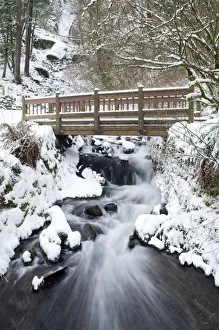 Waukeena Creek, Columbia River Gorge, Oregon, Usa Waukeena Creek, Columbia River Gorge, Oregon, Usa