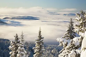 Winter Landscape With Clouds And Snow-Covered Trees; Oregon,Usa Winter Landscape With Clouds And Snow-Covered Trees; Oregon,Usa
