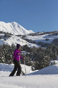 Woman snowshoeing on a sunny day at Turnagain Pass, Kenai Peninsula, Chugach National Forest, Southcentral Alaska Woman snowshoeing on a sunny day at Turnagain Pass, Kenai Peninsula, Chugach National Forest, Southcentral Alaska