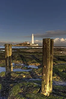 Wooden Posts And Lighthouse In Distance; Whitley Bay, Northumberland, England Wooden Posts And Lighthouse In Distance; Whitley Bay, Northumberland, England