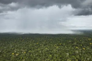 Rainforest Photography Prints: Rain falling over rainforest, Essequibo River, Rupununi, Guyana