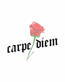 Sayings Collection: Carpe Diem