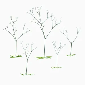 Gypsophila Paniculata Blancanieves Print - Abstract Floral Landscape