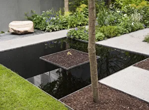 Chelsea Flower Show 2013, Fera - Stop the spread, Designer Jo Thompson Chelsea Flower Show 2013, Fera - Stop the spread, Designer Jo Thompson