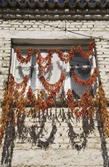 Red and Orange Chilli Print