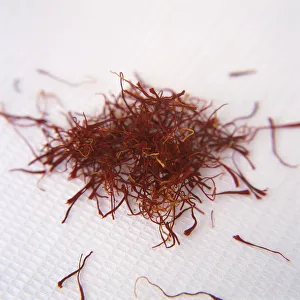 Saffron Crocus Print