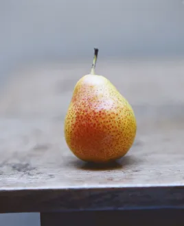 Pyrus communis Print - Orange Pear on Grey Background